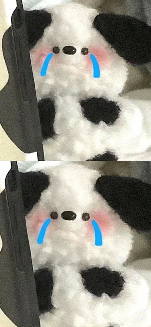 小熊66