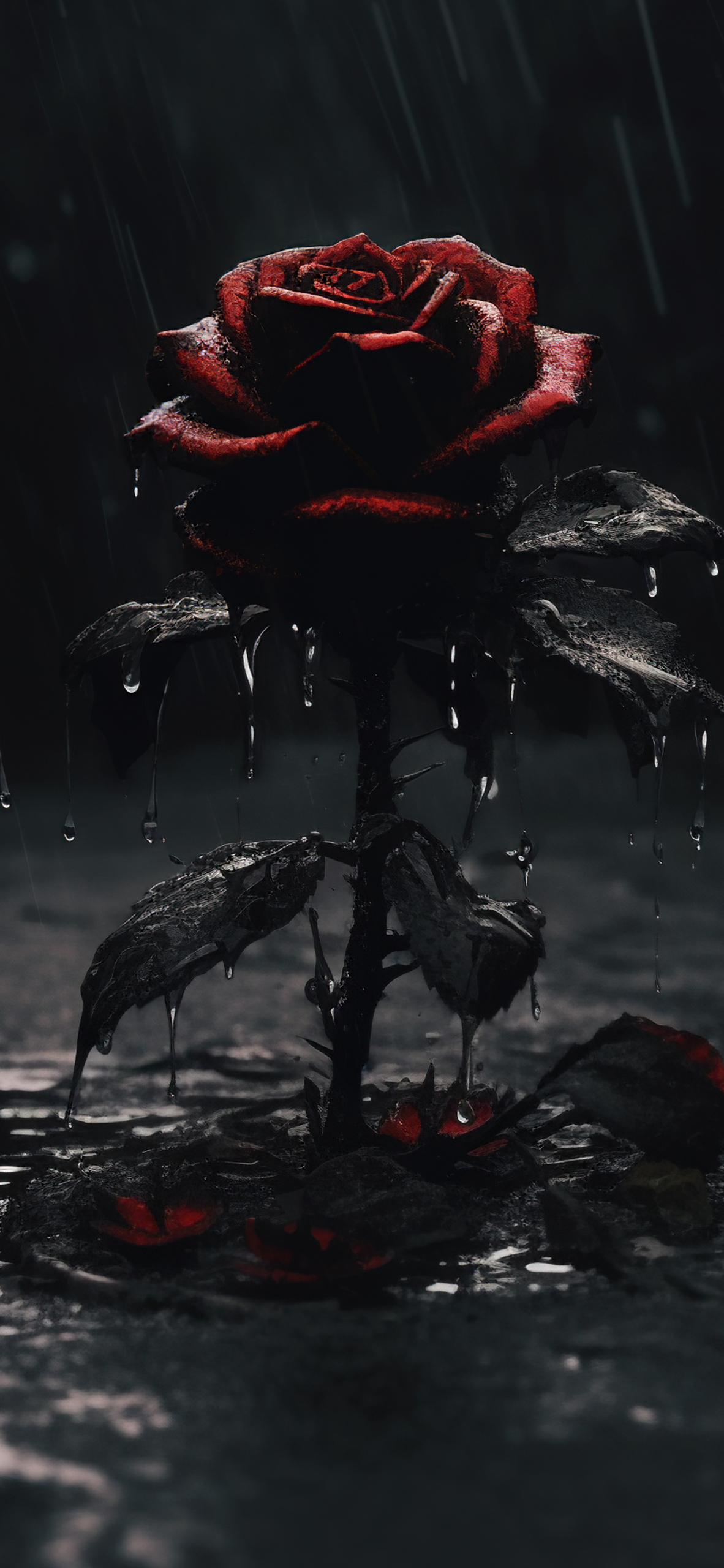 玫瑰花