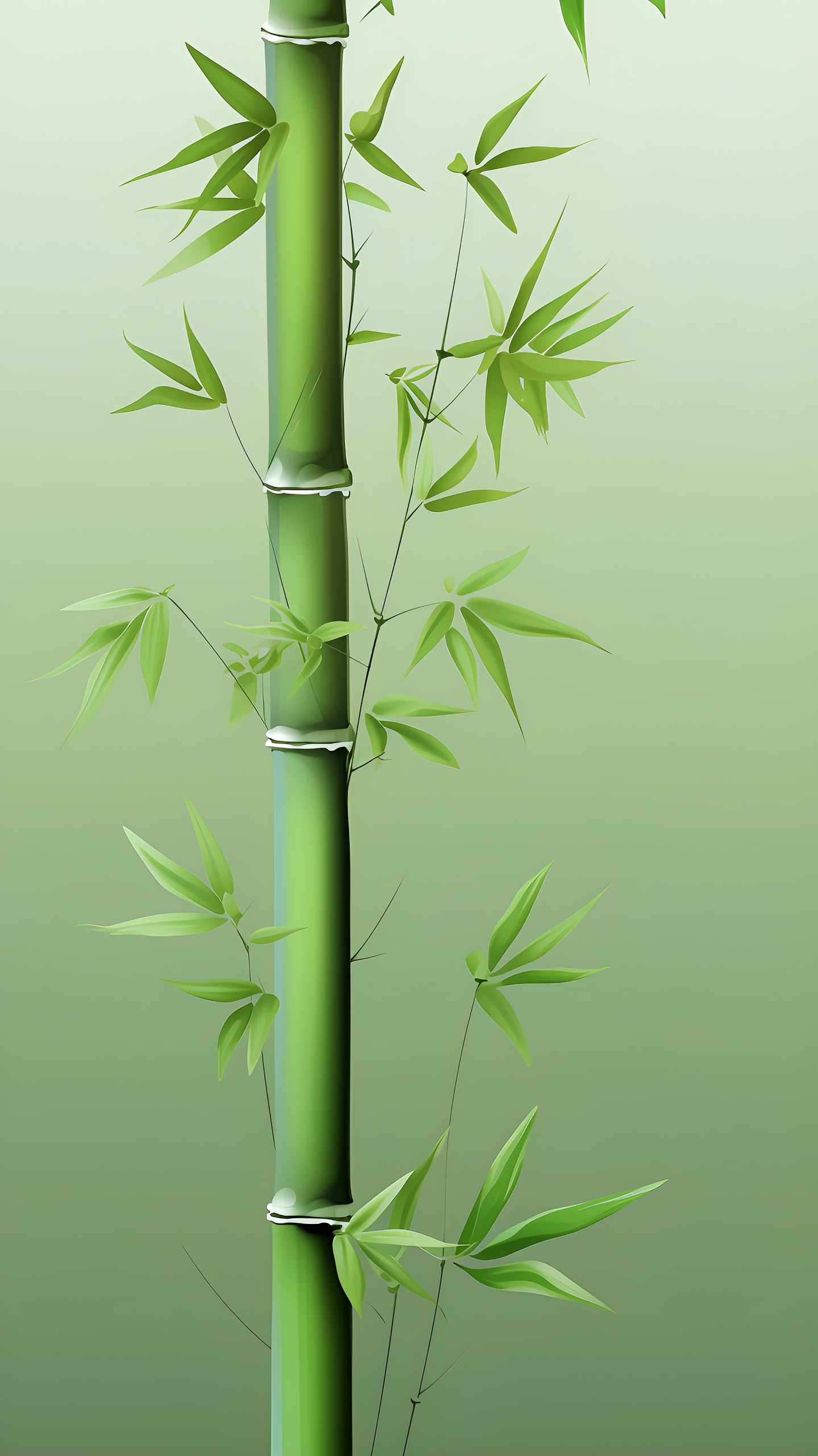 节节高升(1)