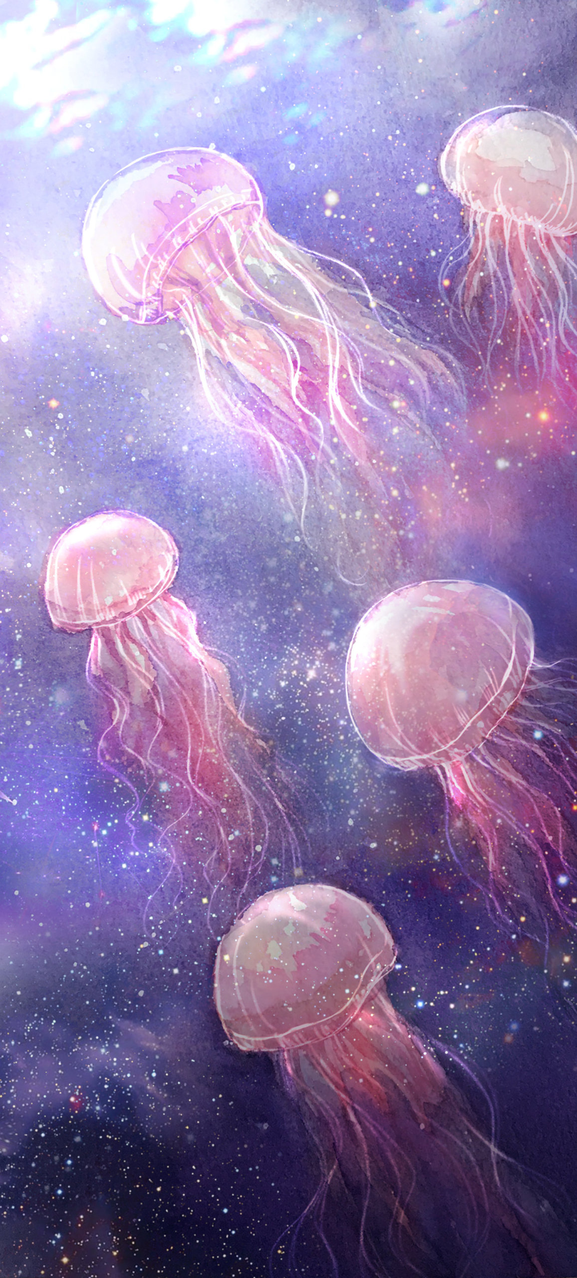 夢幻水母