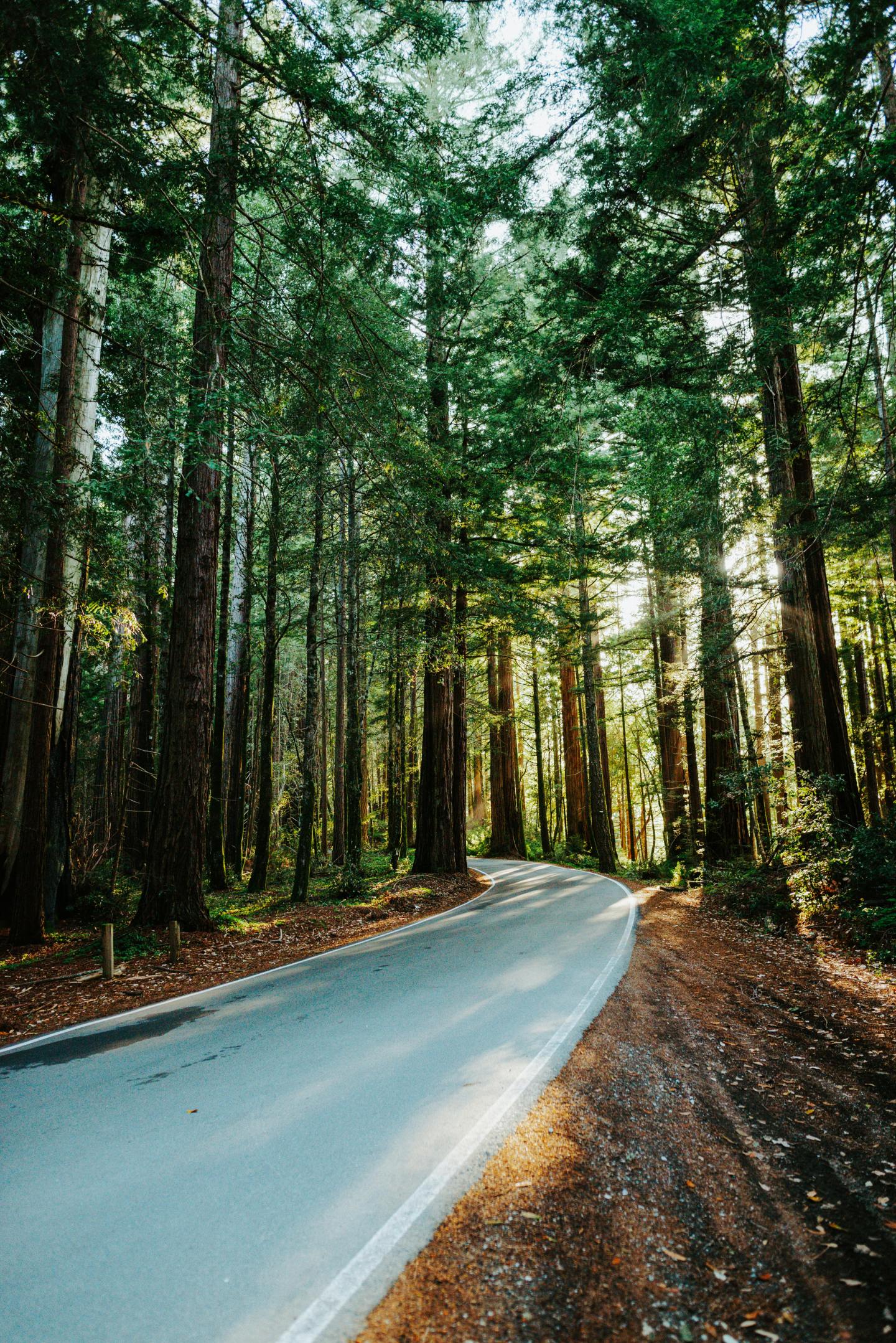 回家的路 自然风景