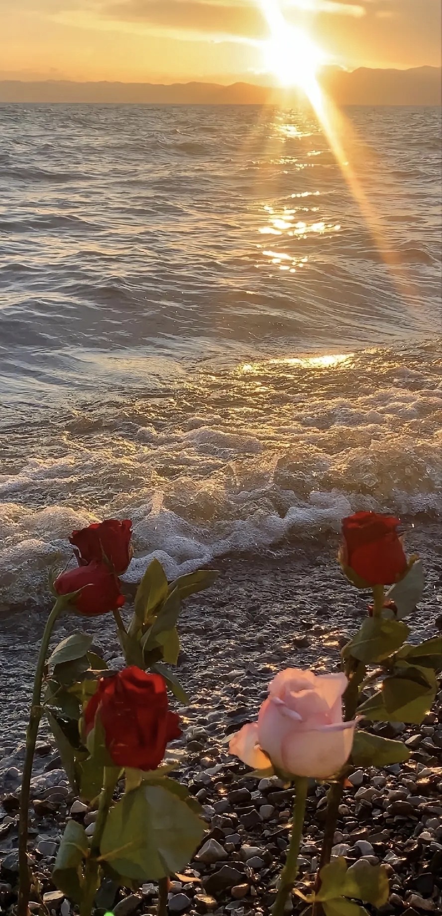 花海