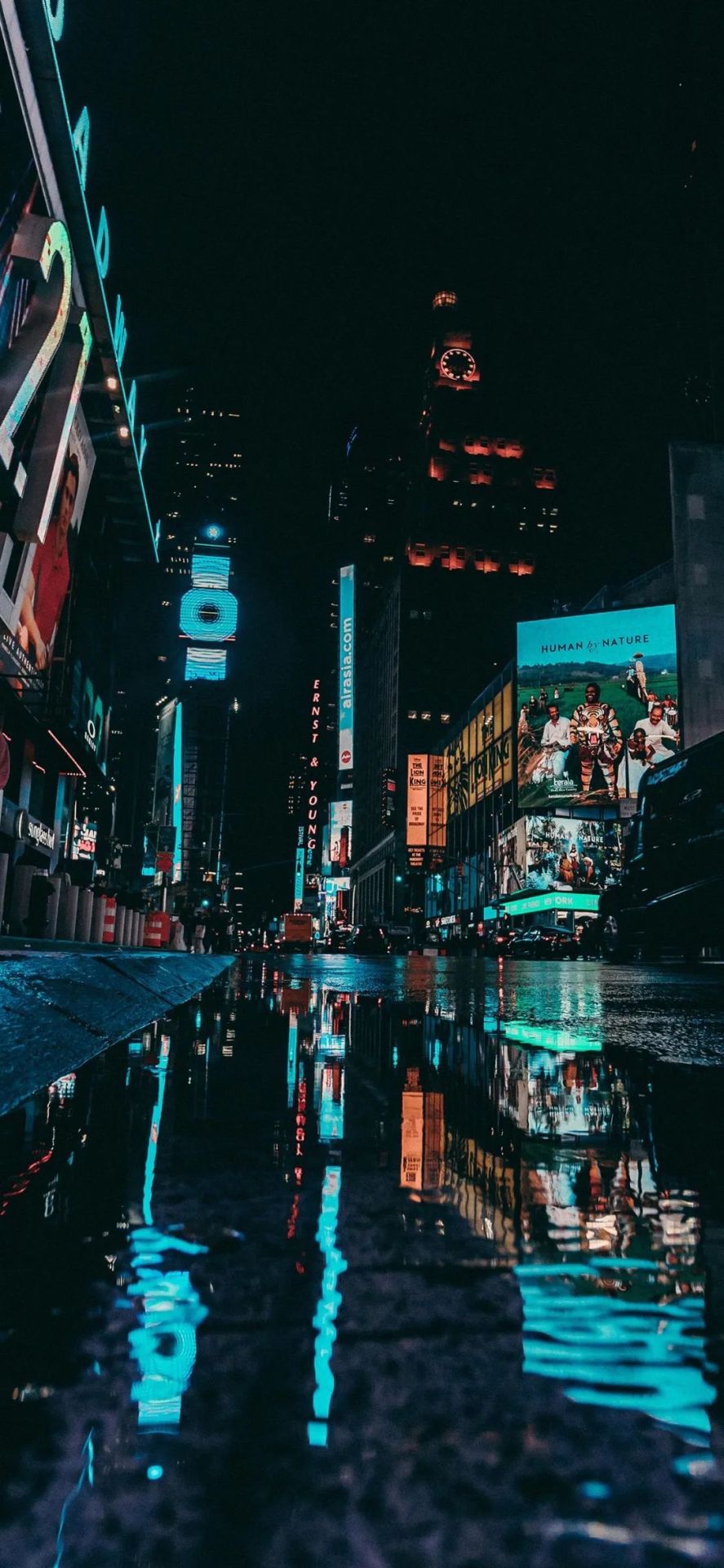 城市