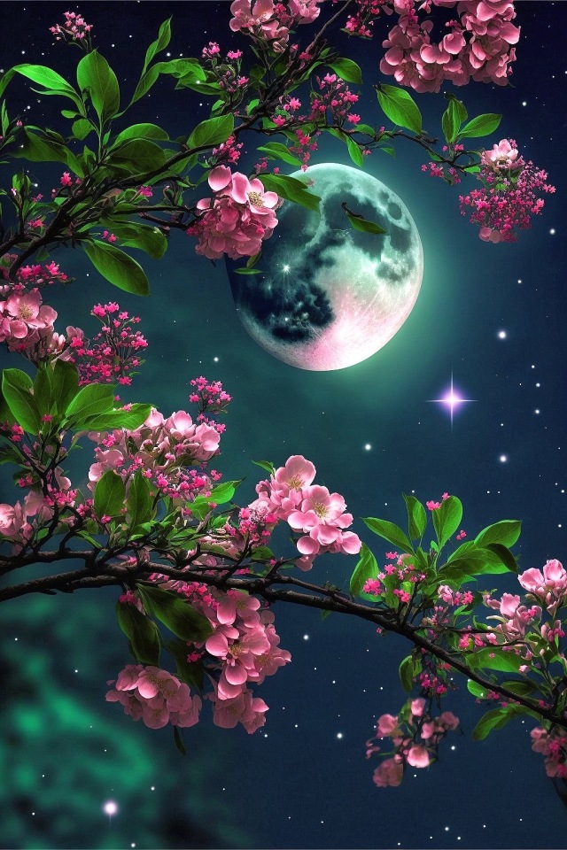 唯美夜色