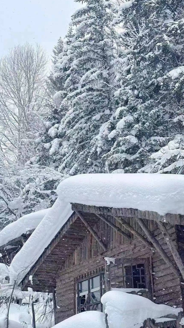 雪景2