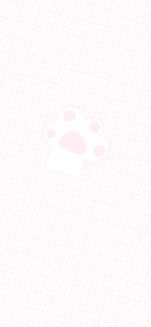 猫爪