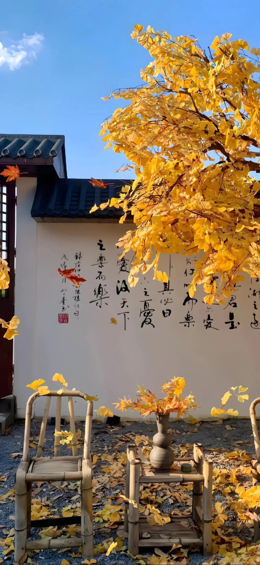 风景