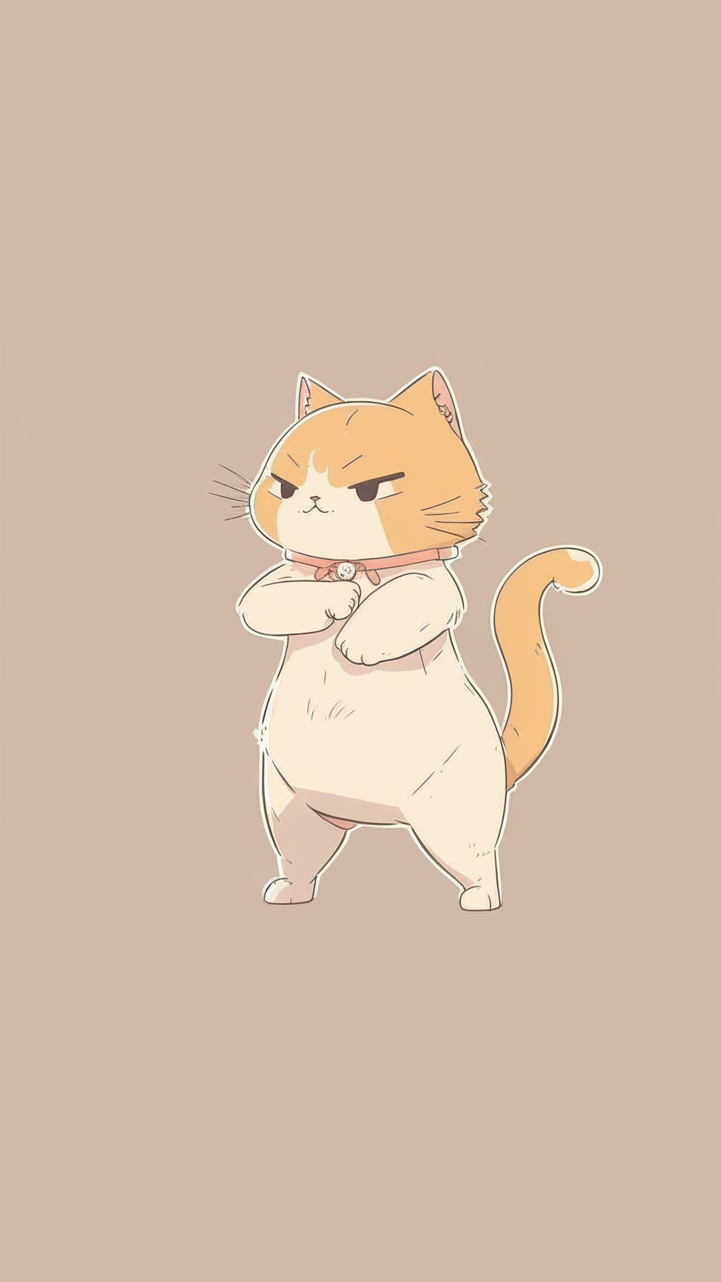 猫咪