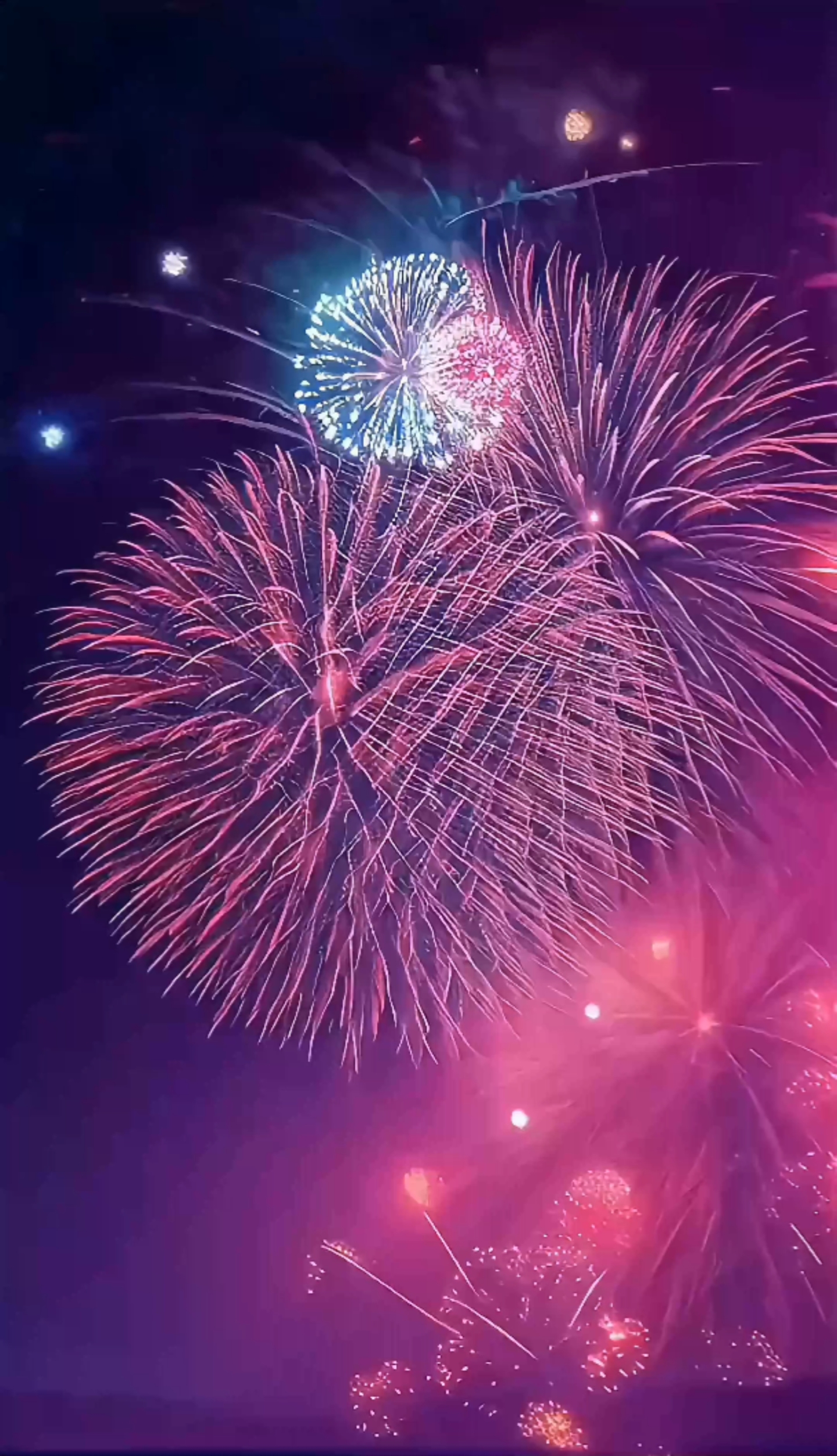 煙花4k