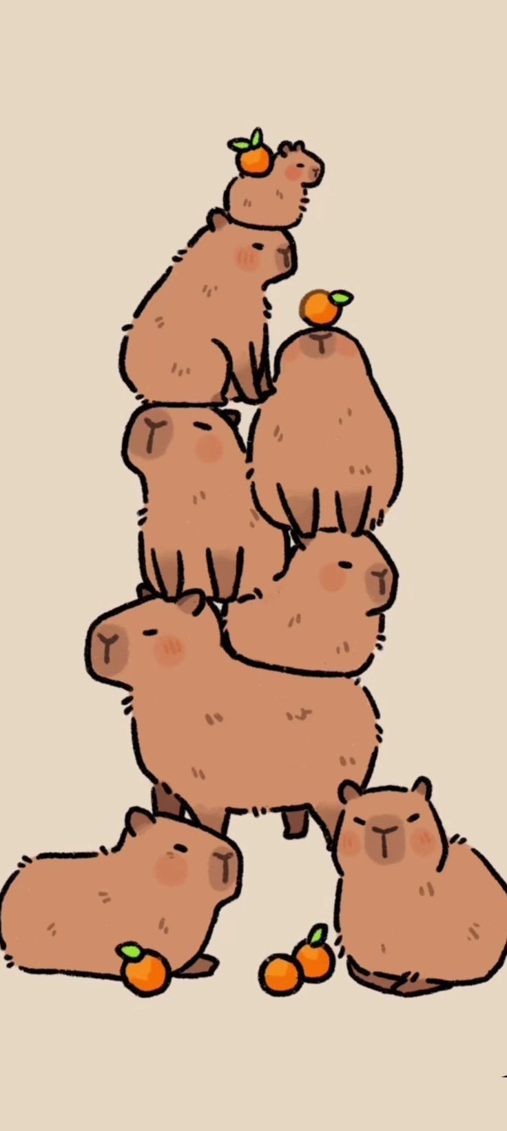 卡皮巴拉