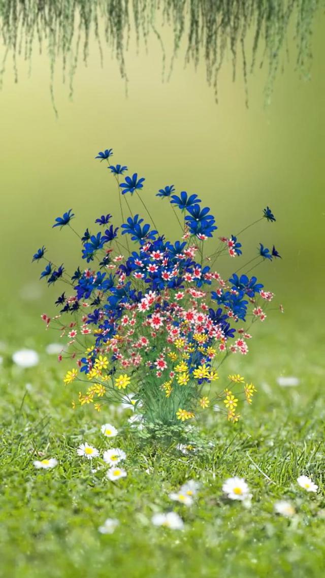 雨中花 风景手机静态壁纸 风景手机壁纸下载 元气壁纸 雨中花 风景手机静态壁纸 风景手机壁纸下载 元气壁纸