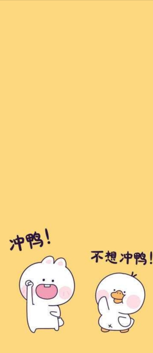 沖鴨
