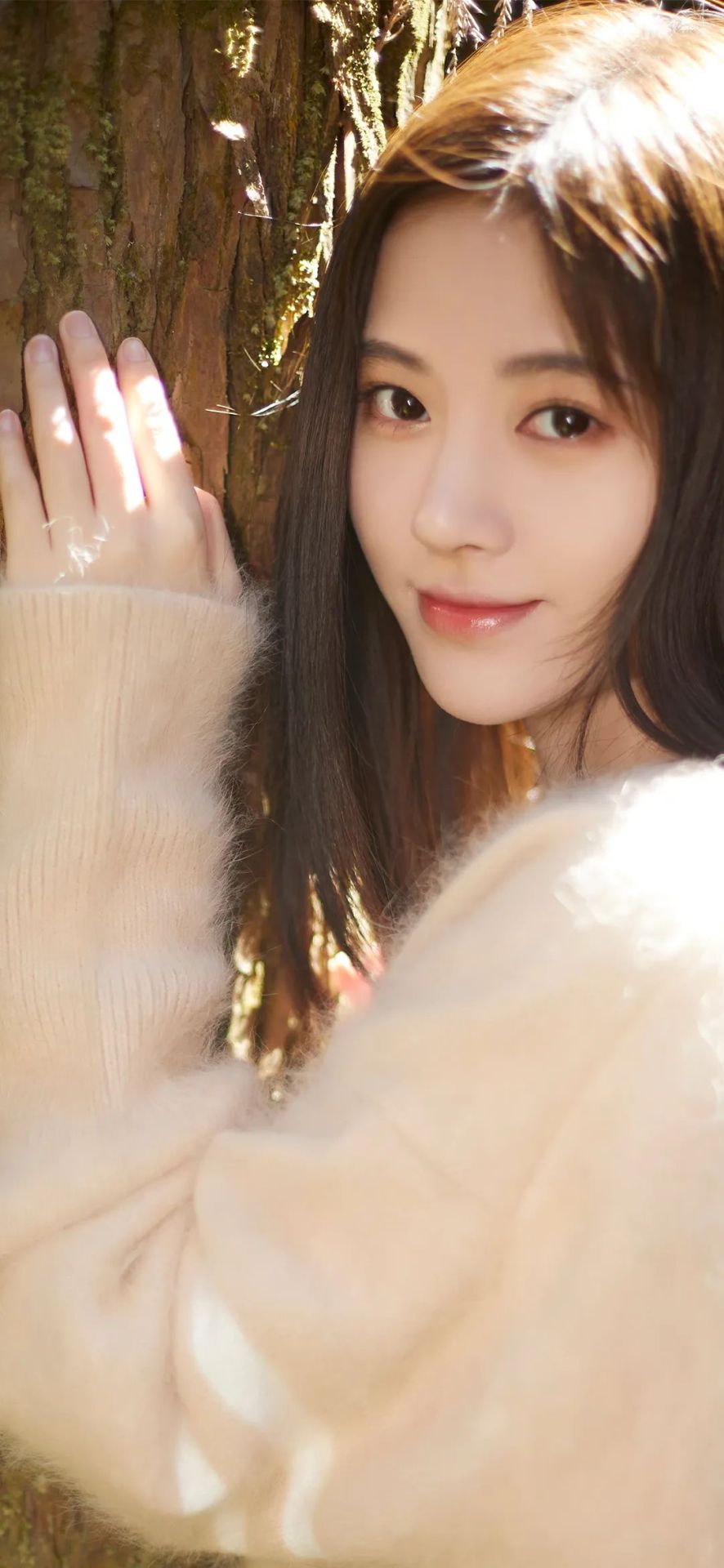 鞠婧禕