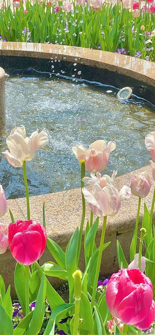 花