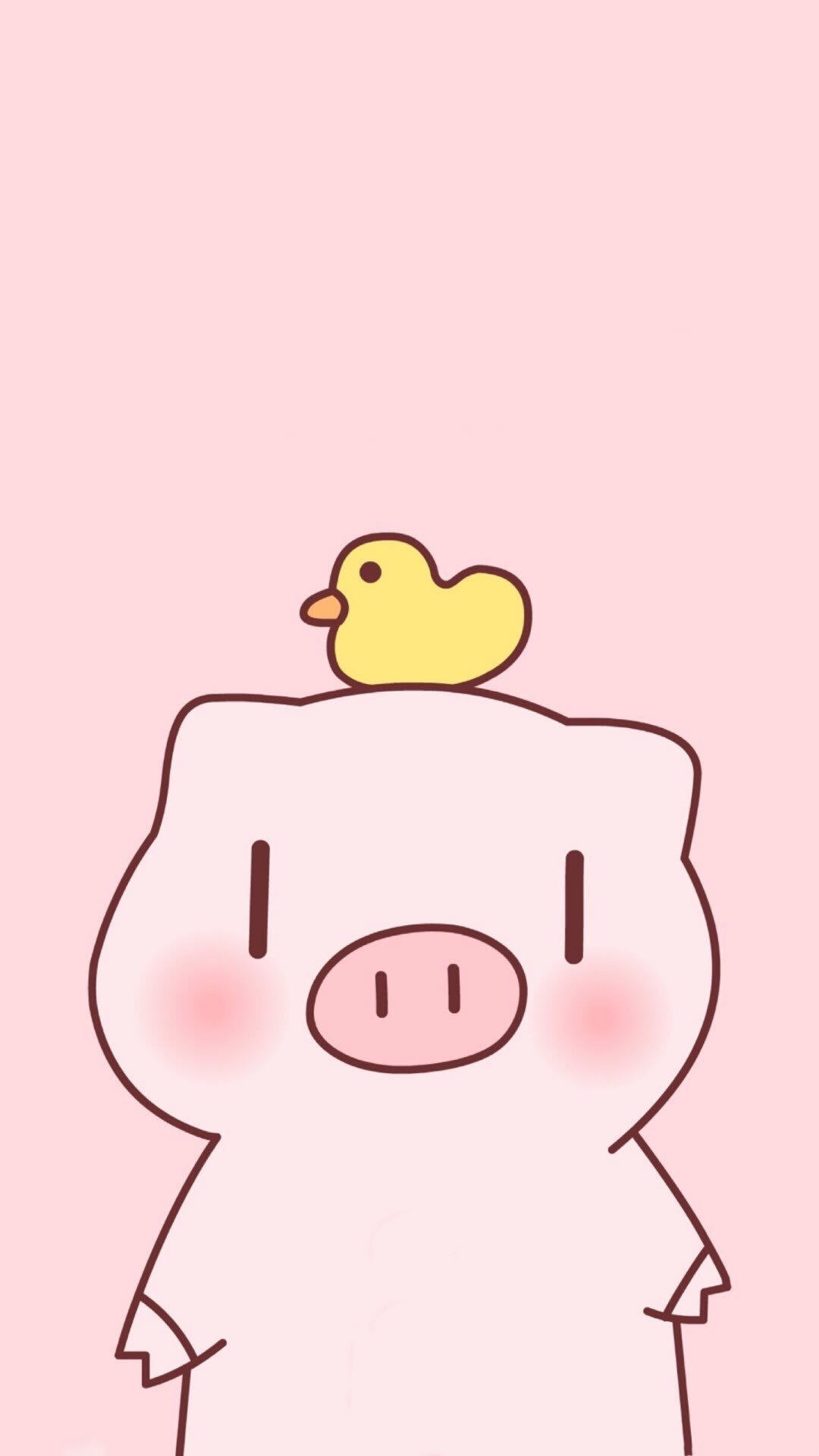 豬豬
