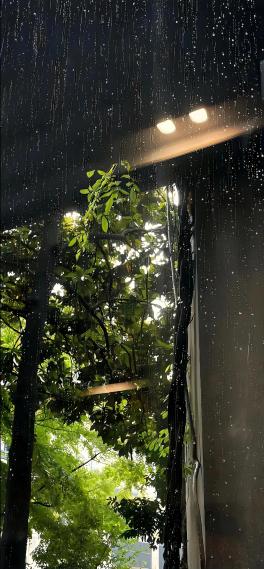灯雨
