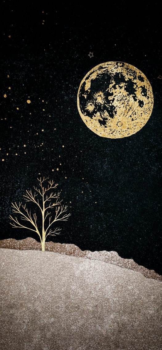 维多利亚星空