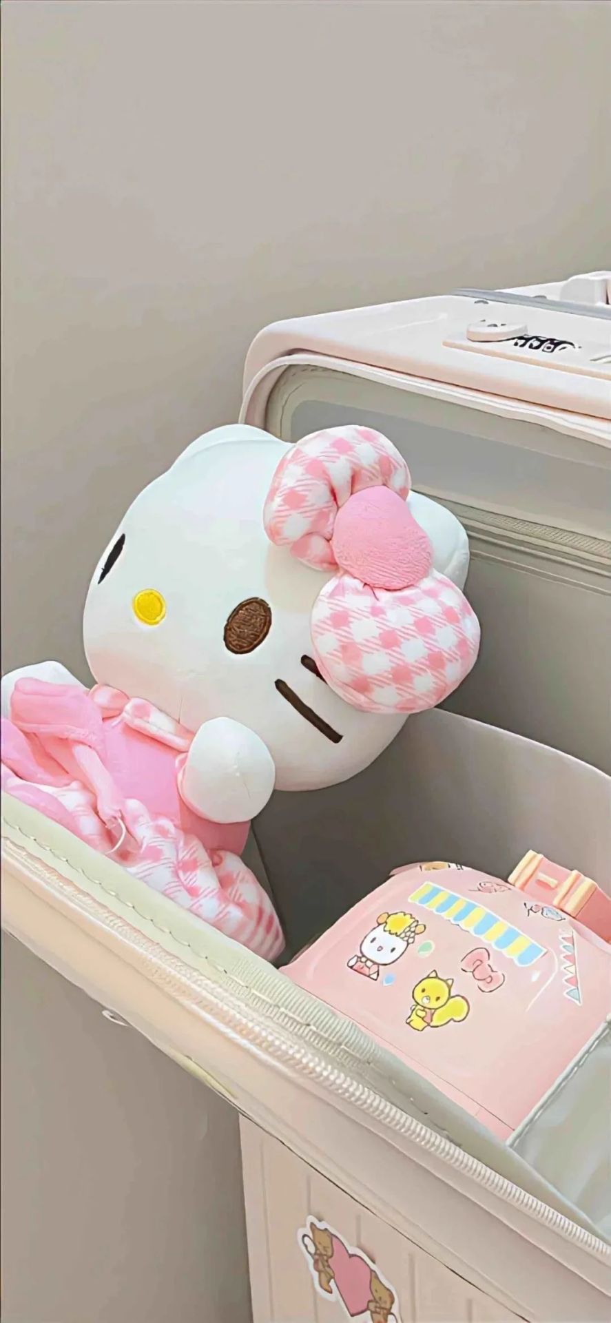 可愛小貓