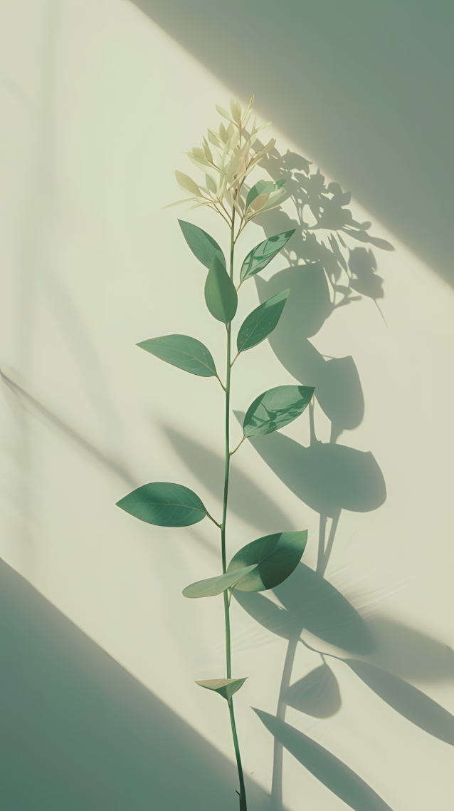 花影