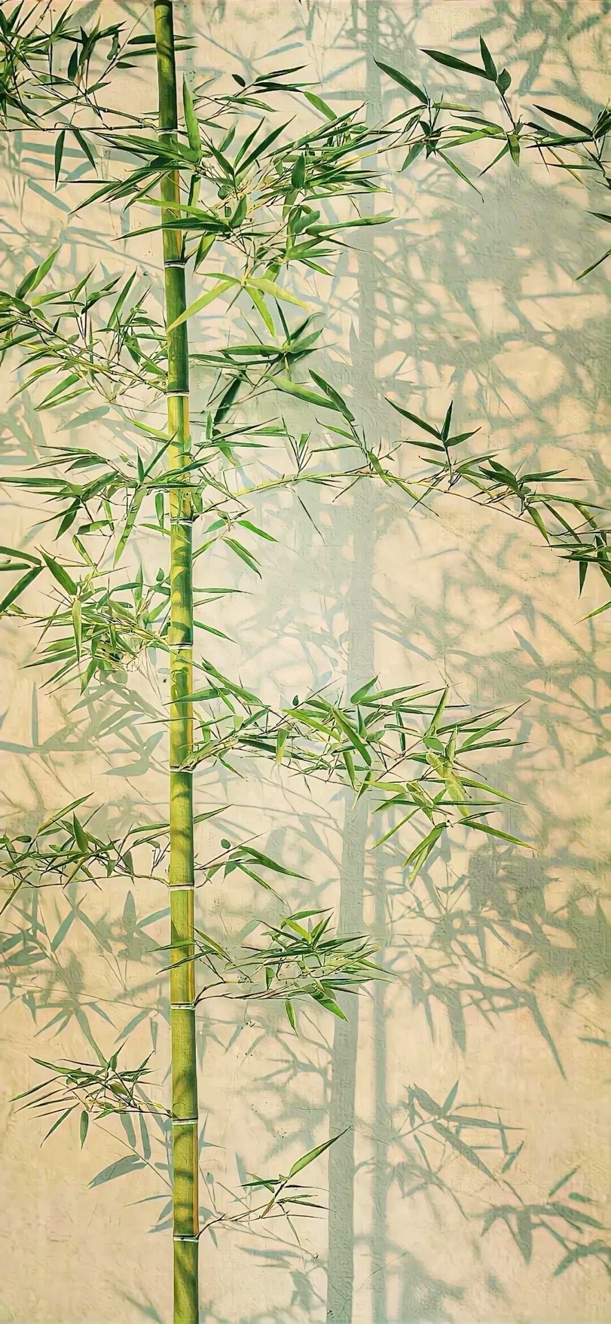 嫩竹