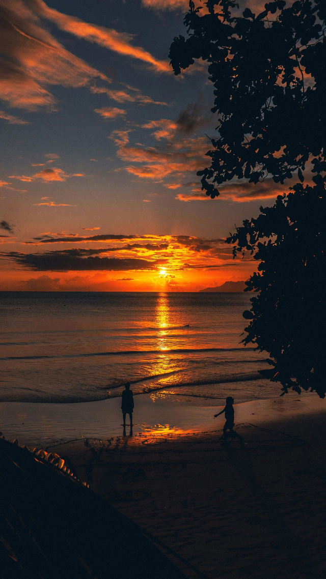 夕陽