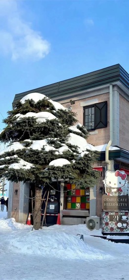 圣诞节喝杯咖啡吧~