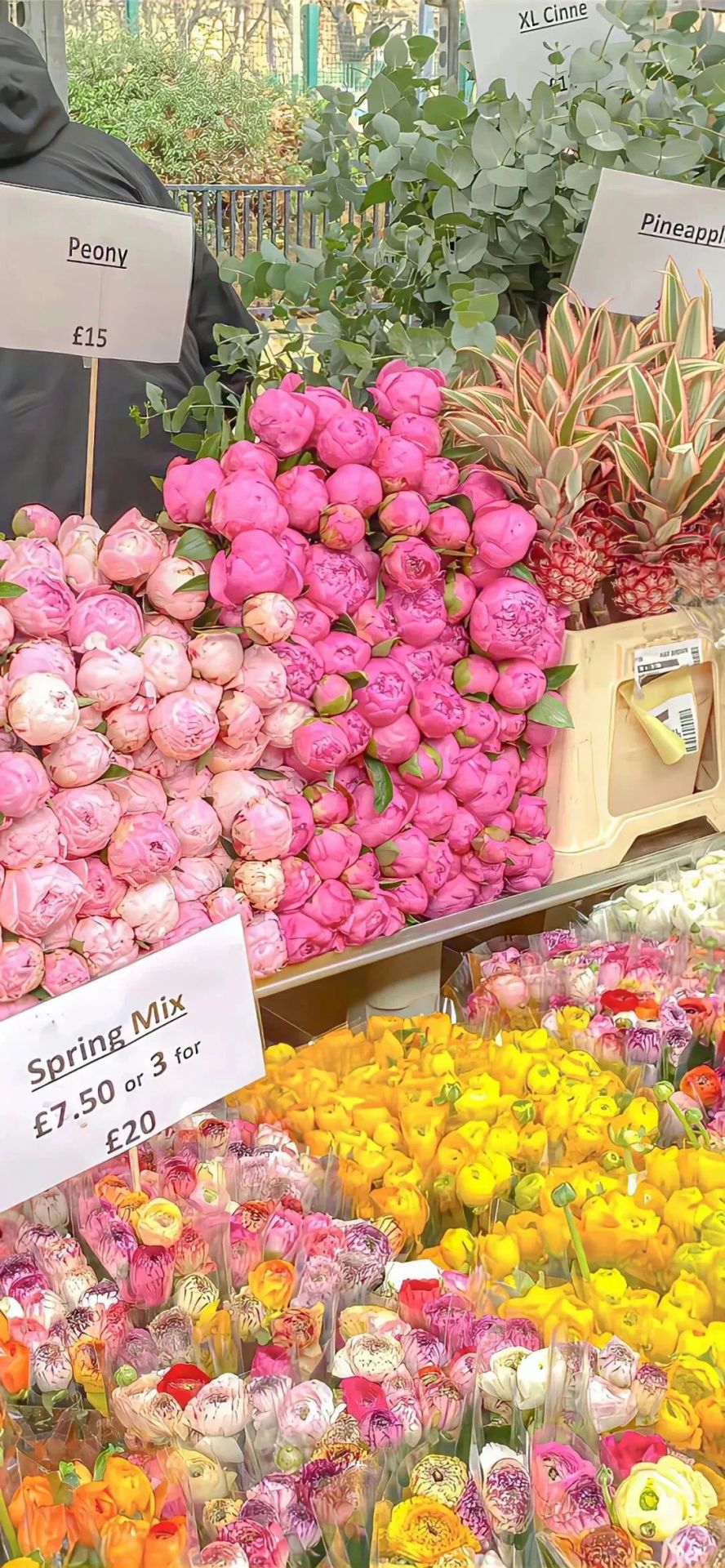鮮花