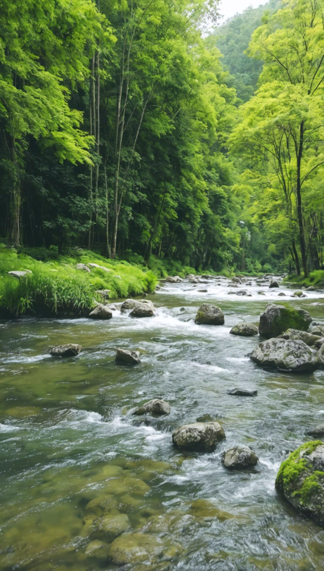河水清澈