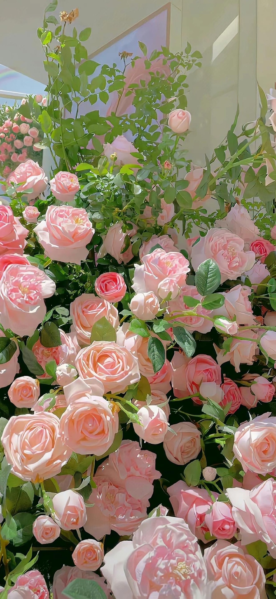 是薔薇嗎