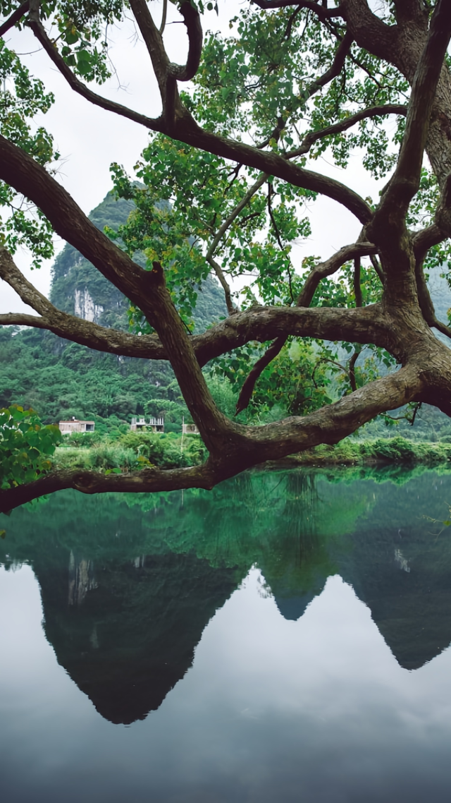 清新自然护眼山水风景