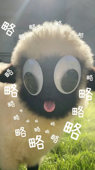 小羊略略略