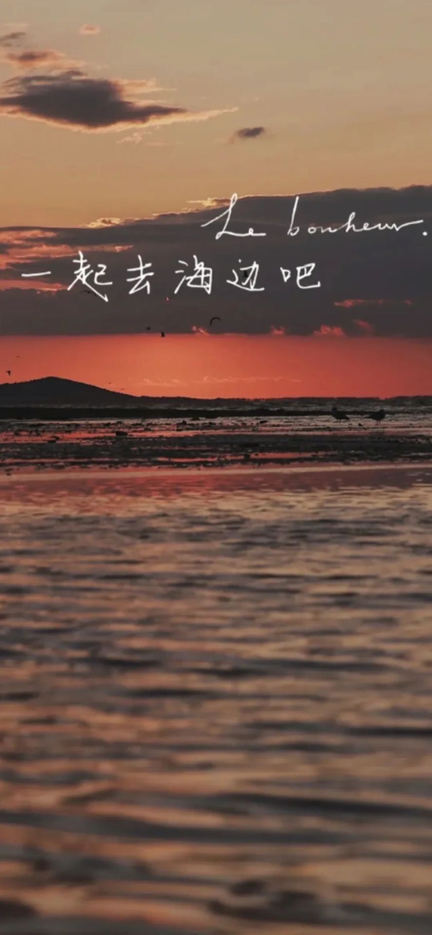 看海