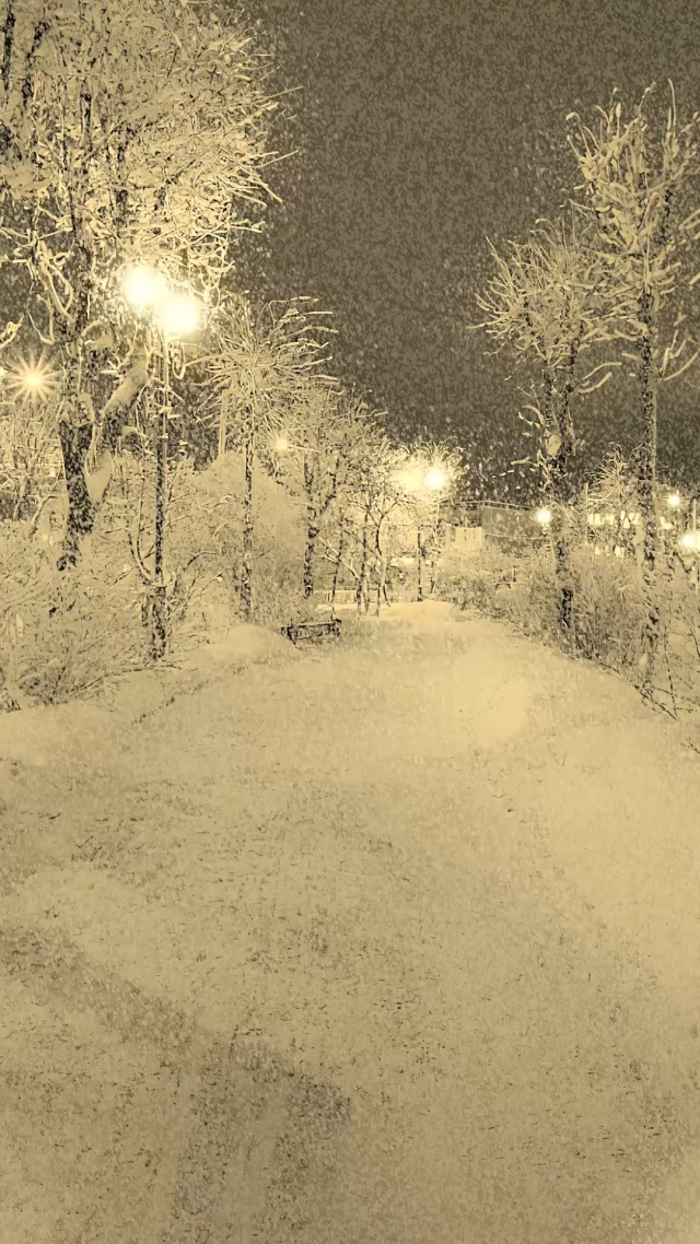 小路意境雪景