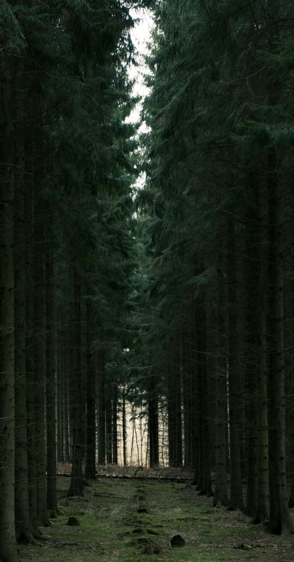 護眼風景
