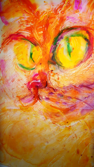 水彩画大花猫，林晨曦《猫先生》