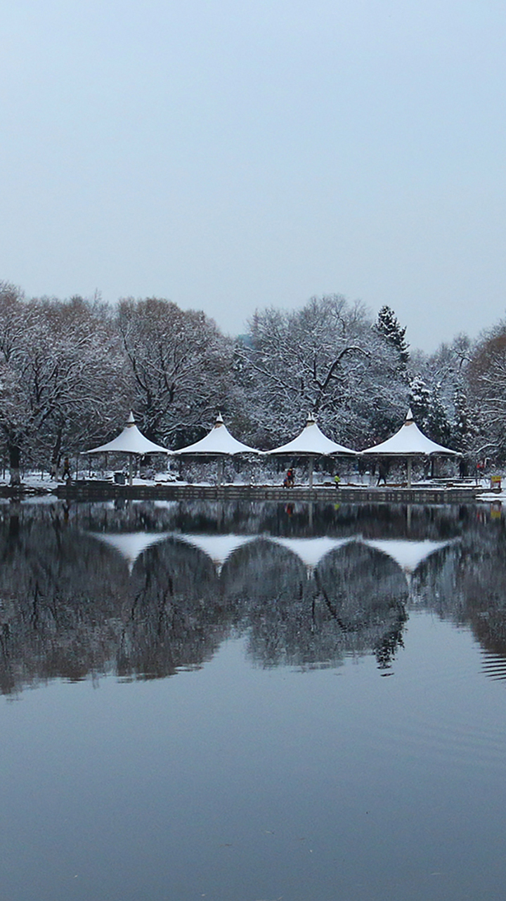 呼和浩特冬日雪景 
