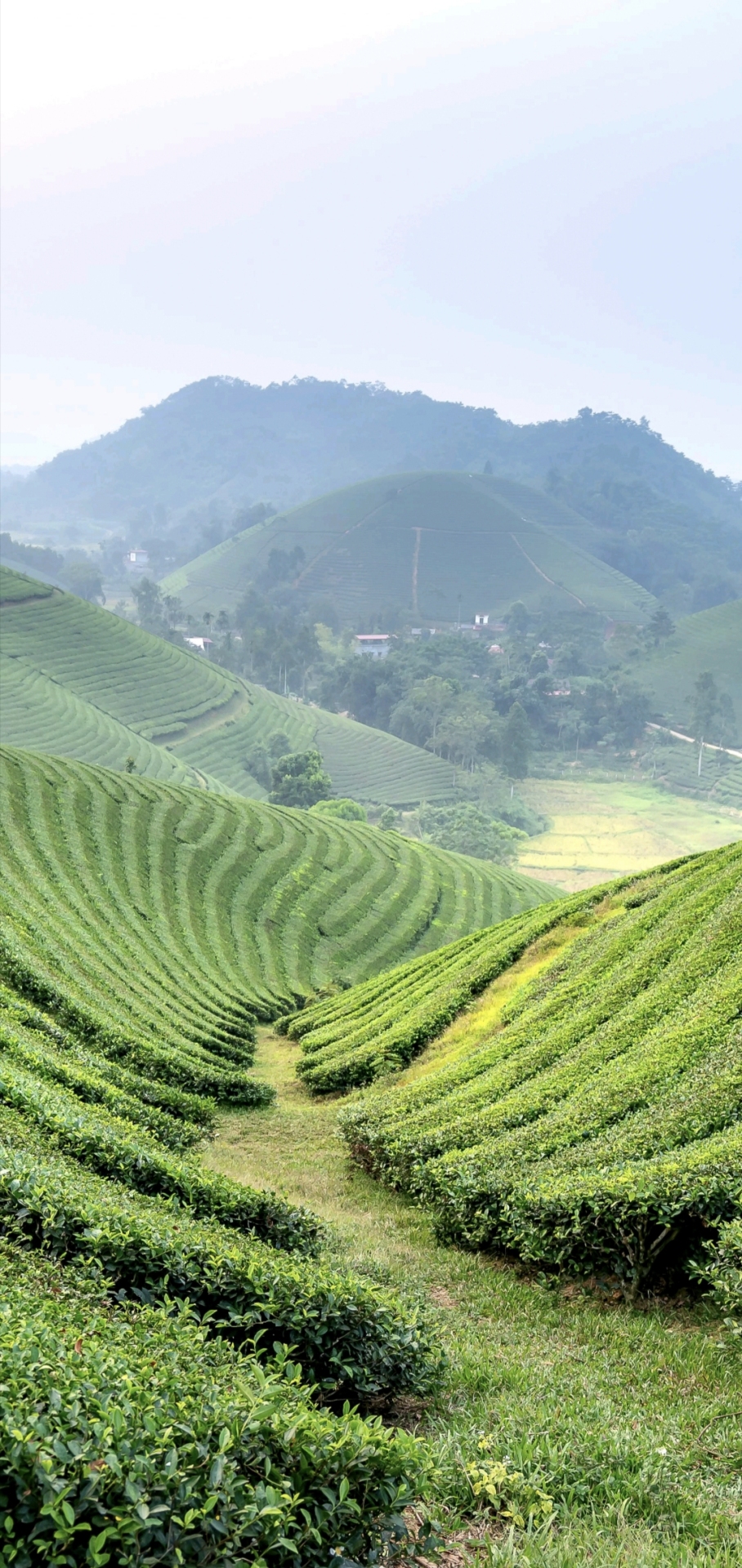 山上的風景