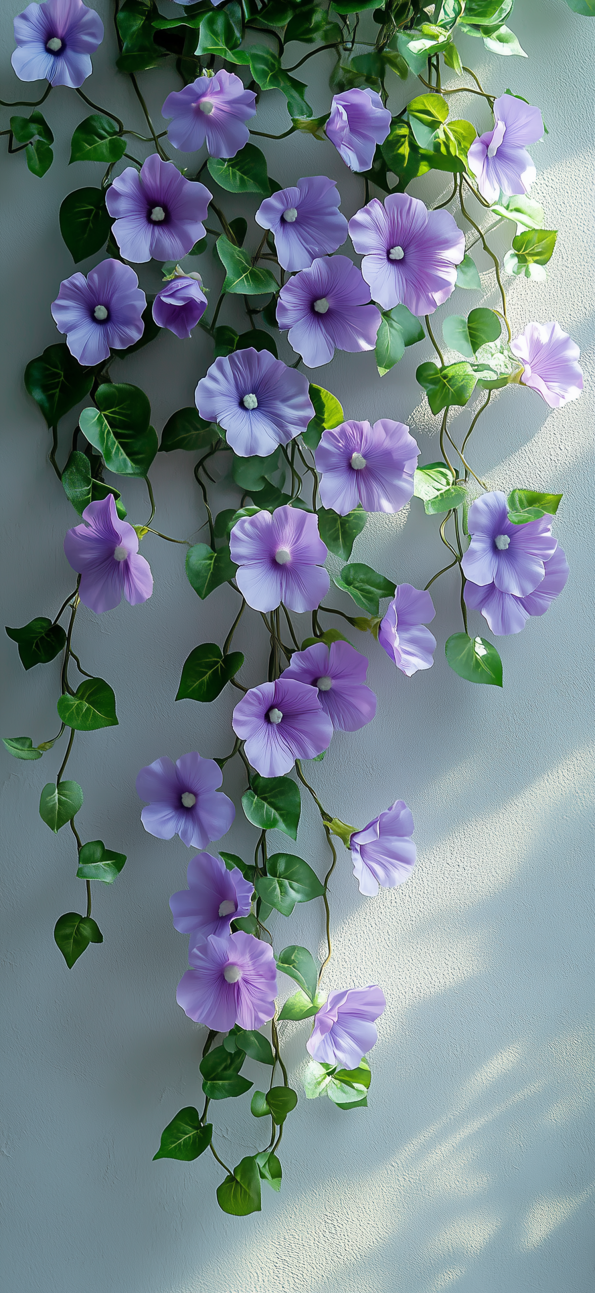 爬山虎