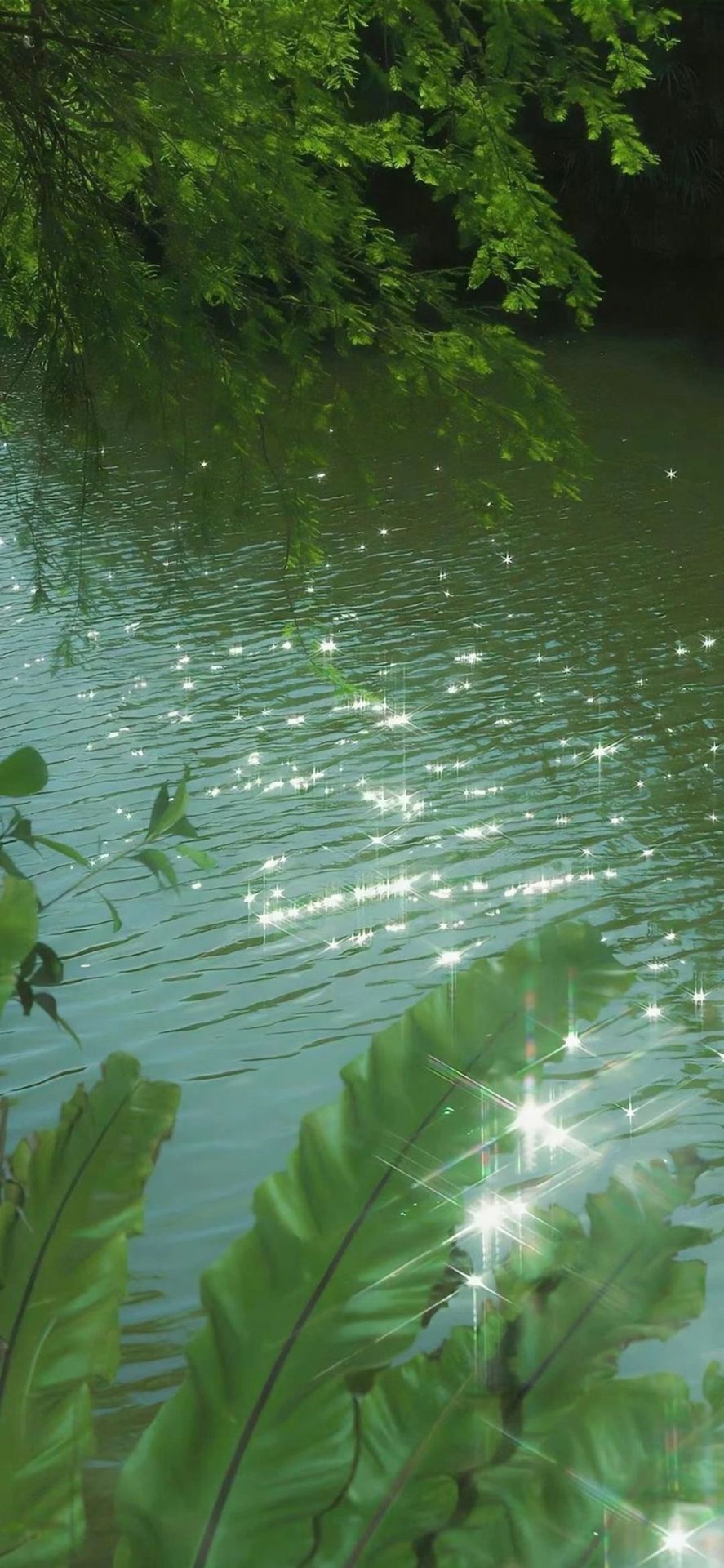 湖面