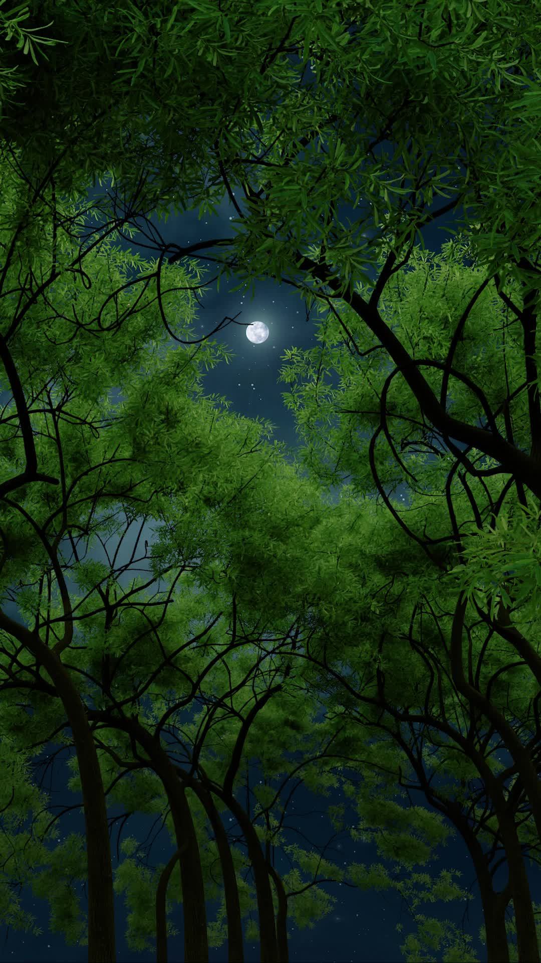 森林月亮