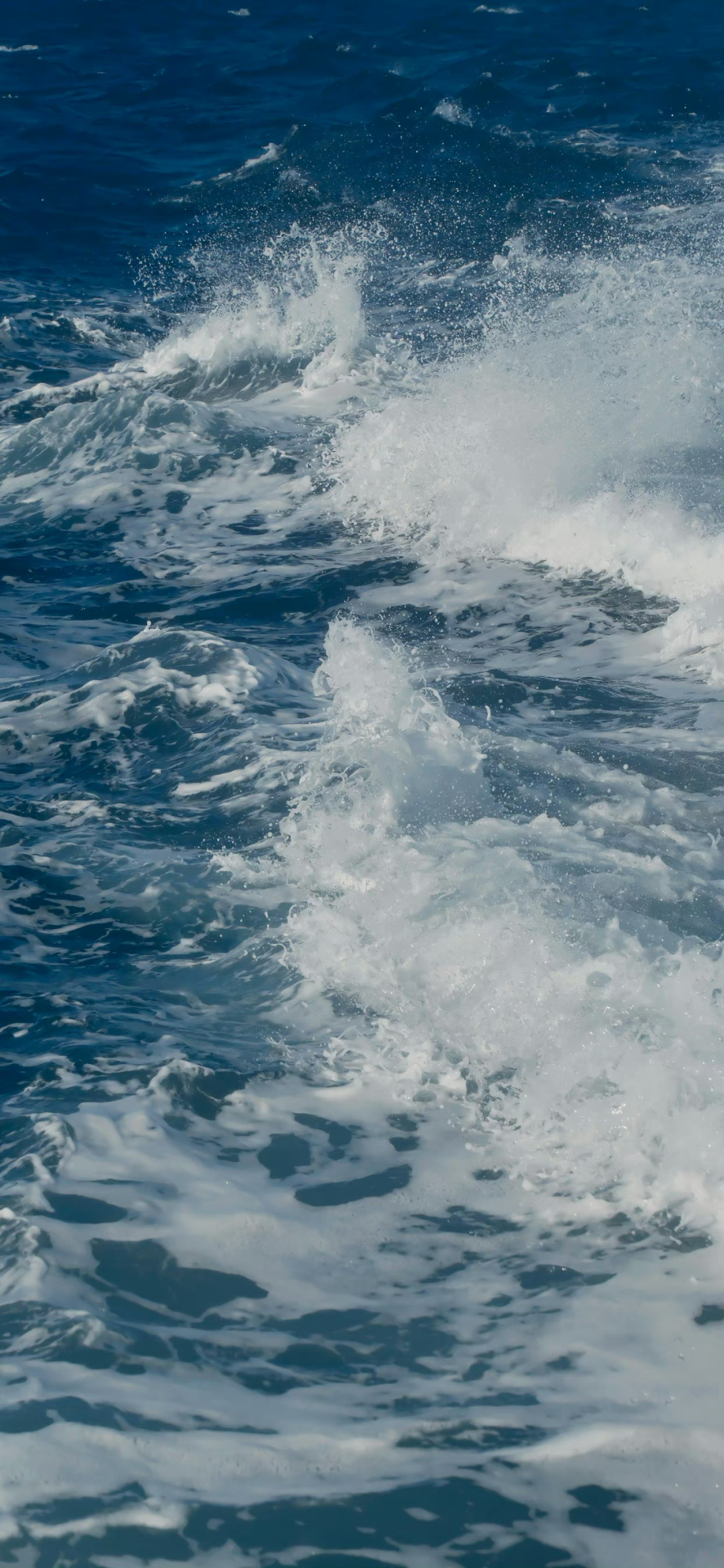 海水