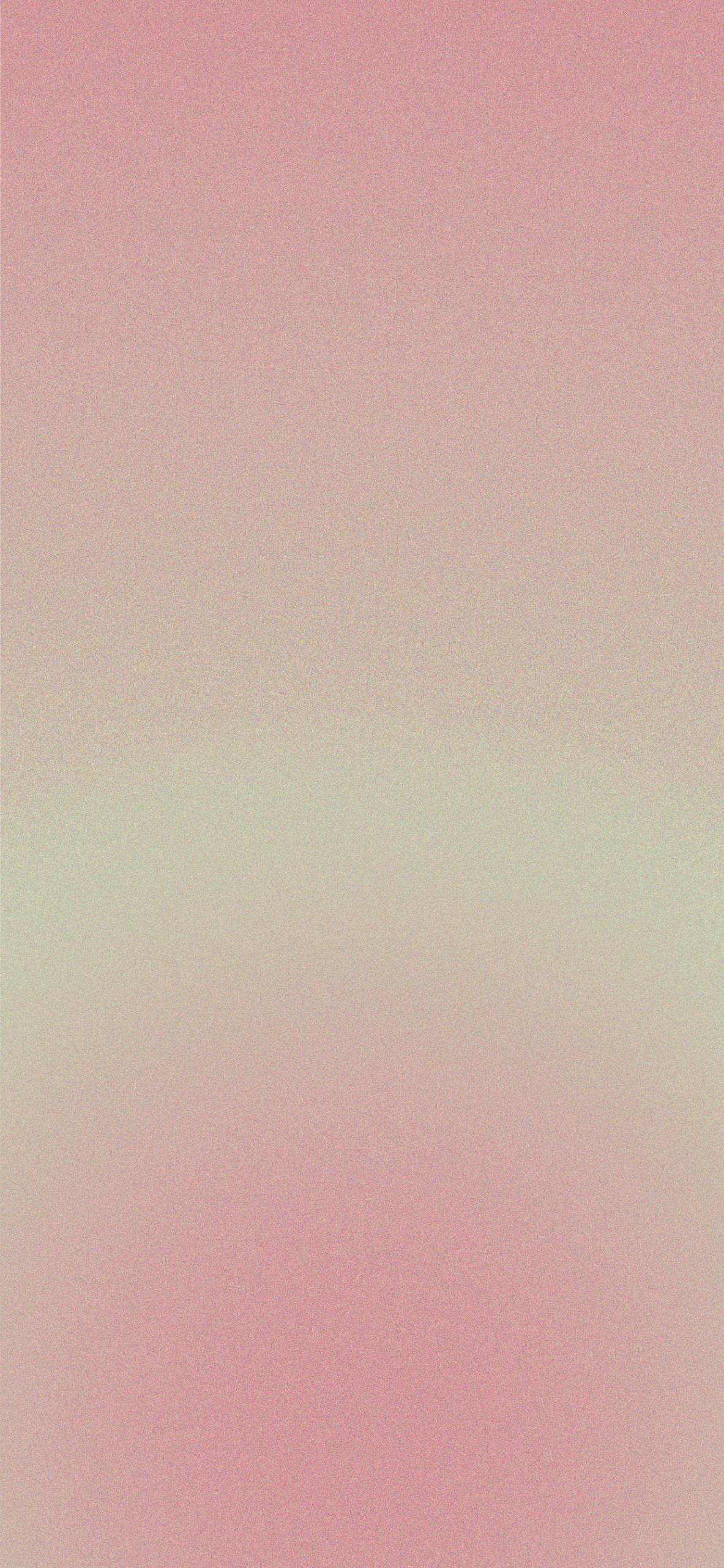 浪漫花日4
