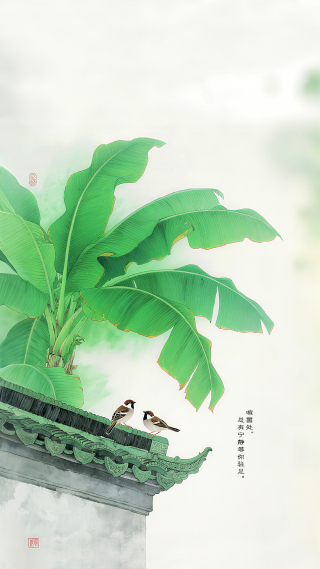 芭蕉叶的宁静