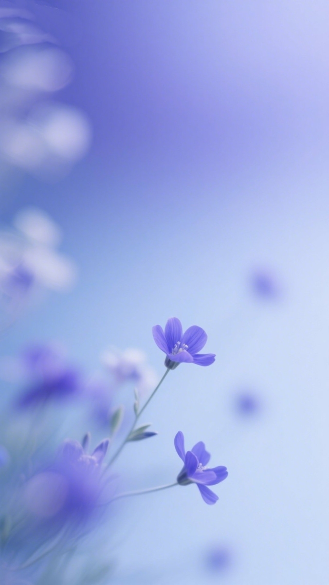 紫花2