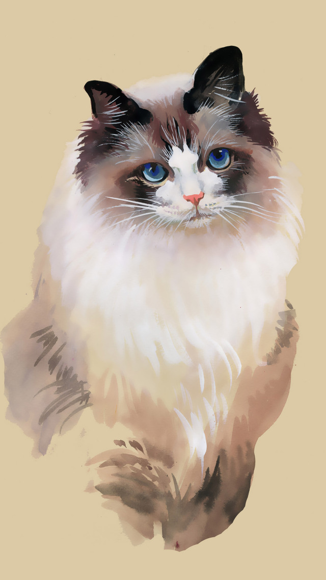 #猫咪插画 艺术 (2)手机背景图片