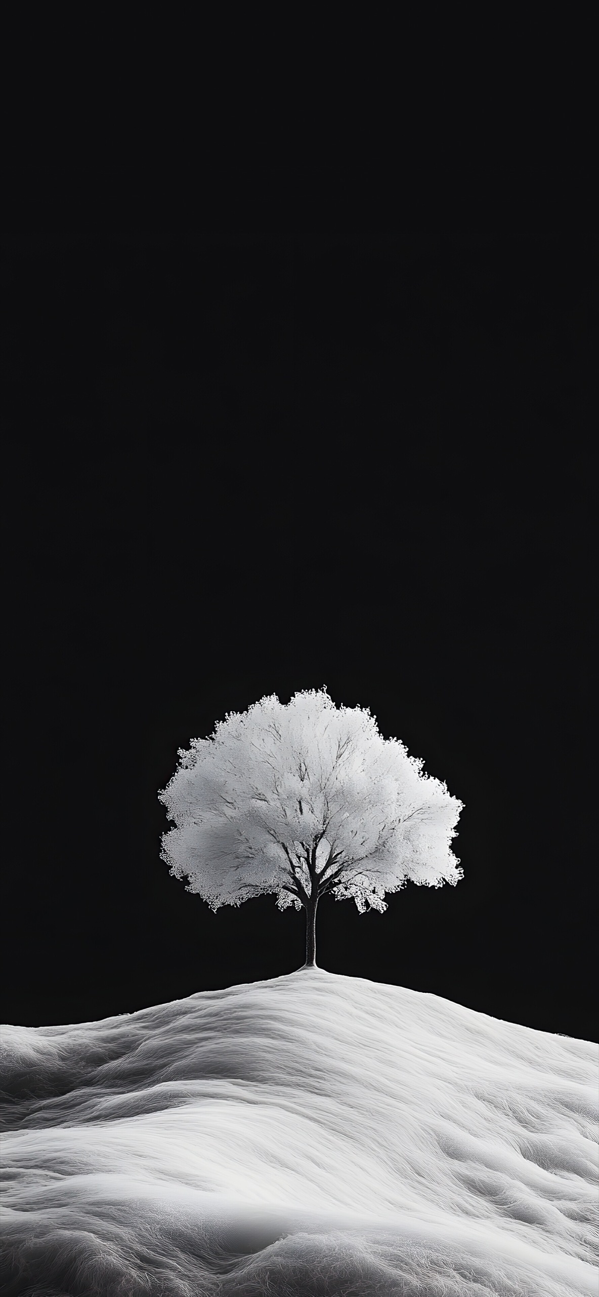黑白