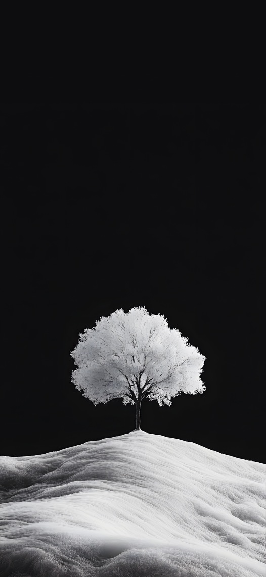 黑白