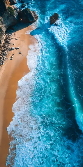 海岸线的交响曲