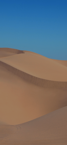 沙漠之旅壁纸
