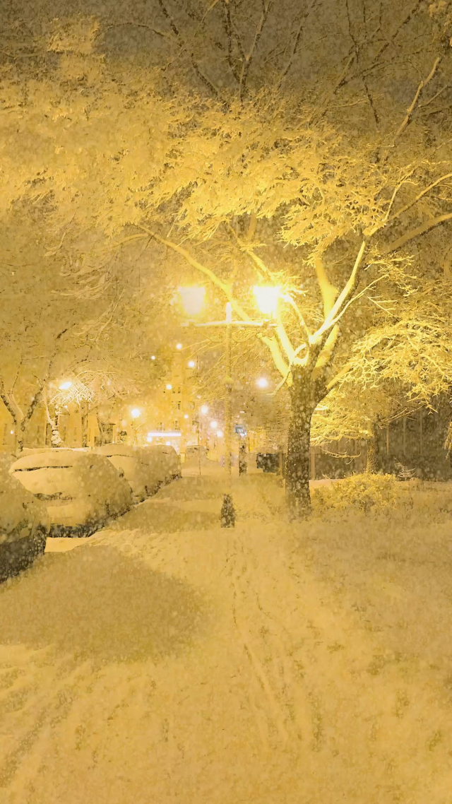 凌晨治愈雪景